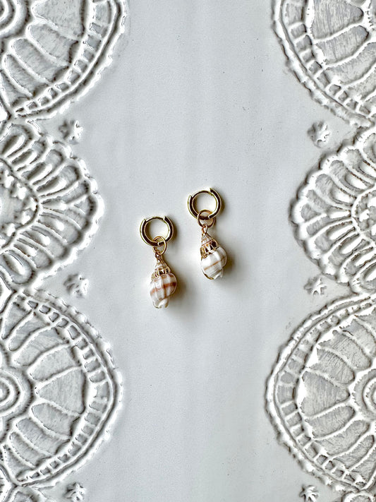 Shell charm