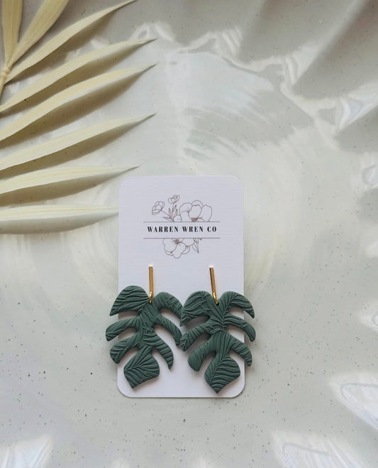 Monstera